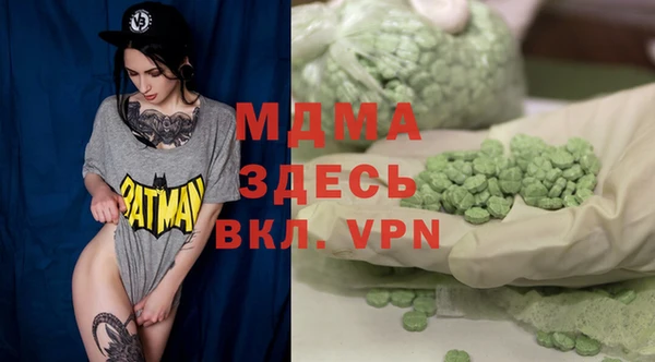 сатива Бородино