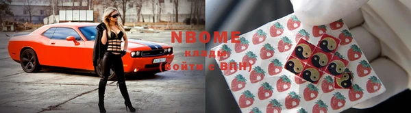 сатива Бородино