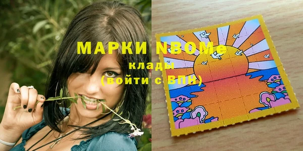 сатива Бородино