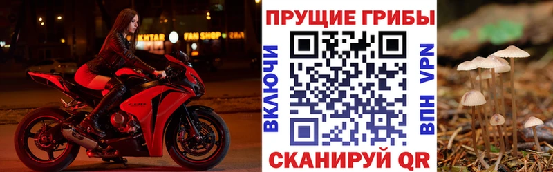 купить наркоту  Иваново  Галлюциногенные грибы ЛСД 